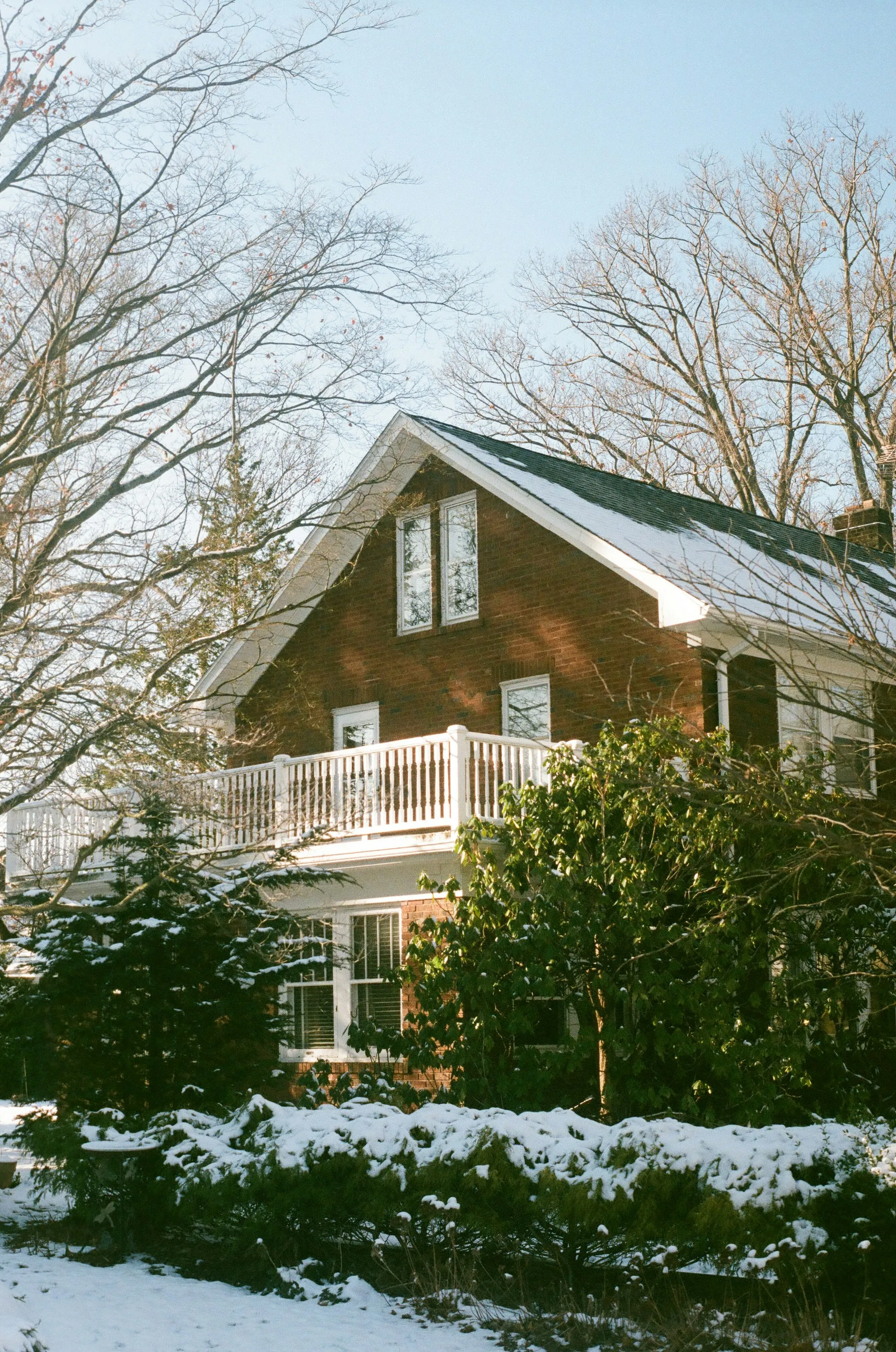 Wood-sided house on a wooded lot in winter