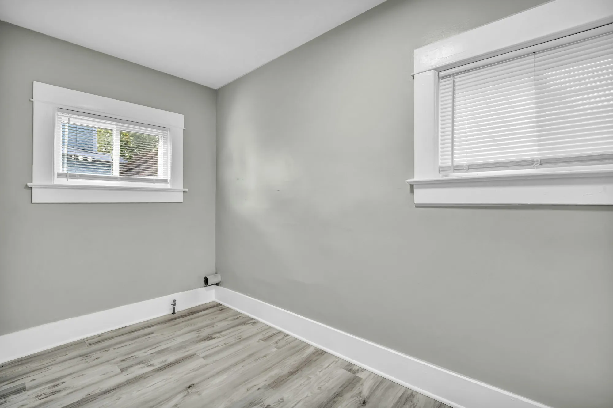 Freshly painted gray room with white trim